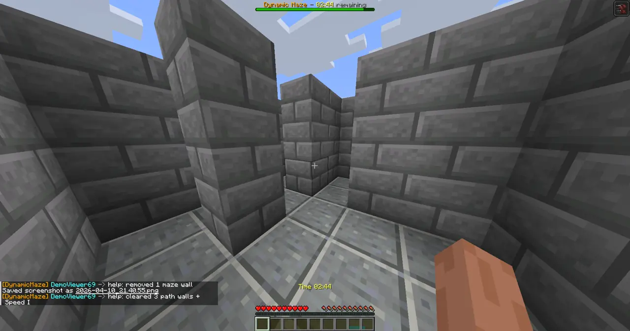 Dynamic Maze gameplay screenshot showing 5+ coins
