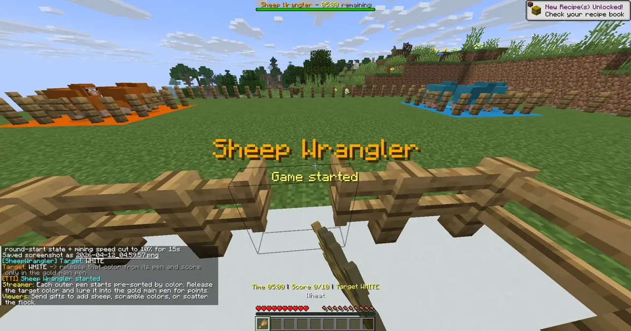 Sheep Wrangler gameplay screenshot showing round start